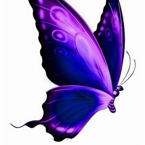 Meet your Posher, Le ann